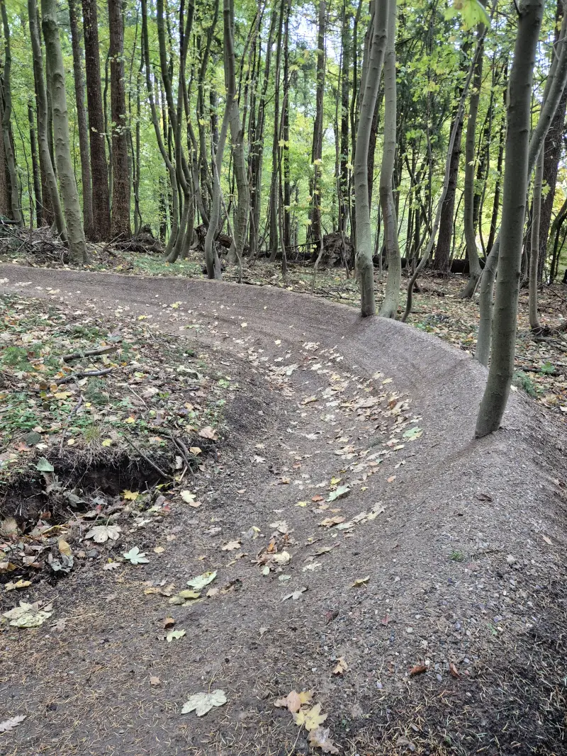 Skarpt doseret sving med blade