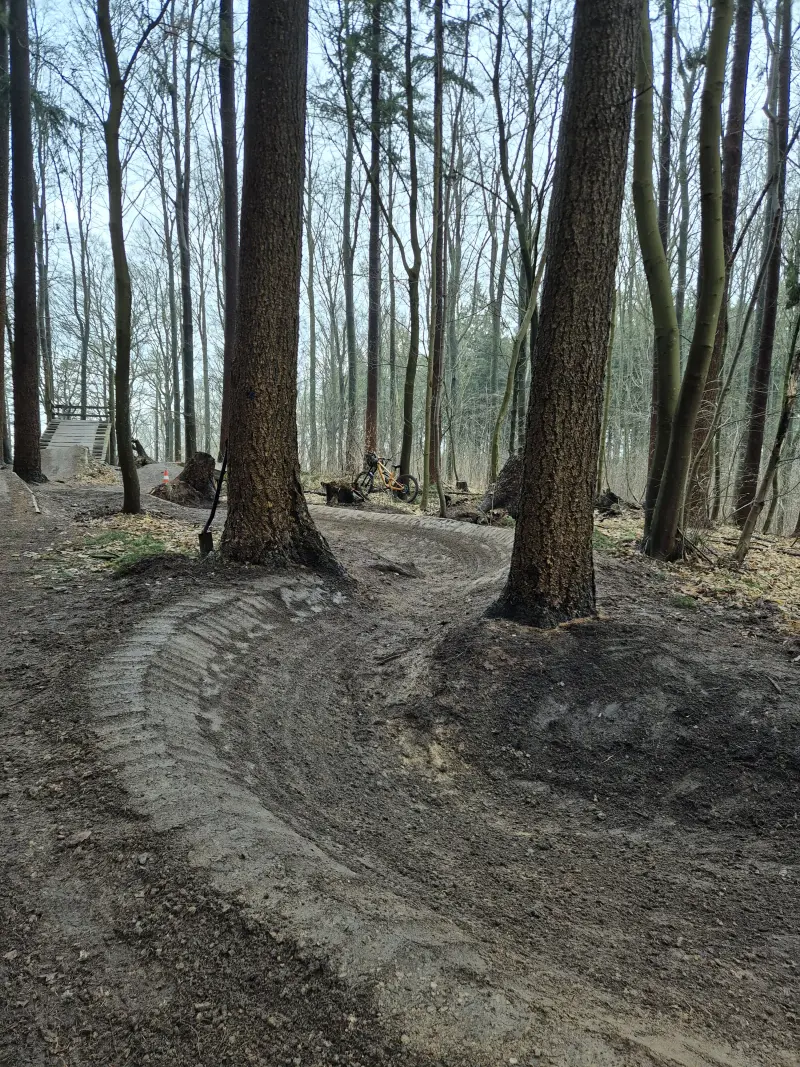 Berm med dækspor i skoven