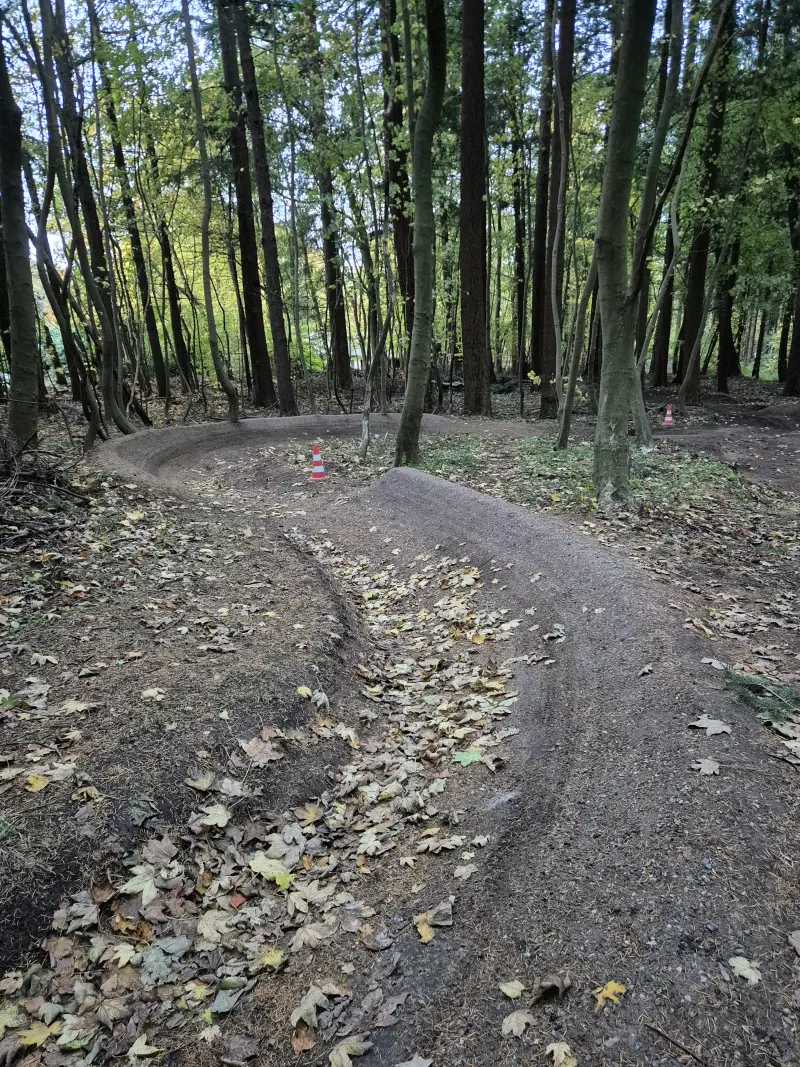 S-sving gennem efterårsskoven