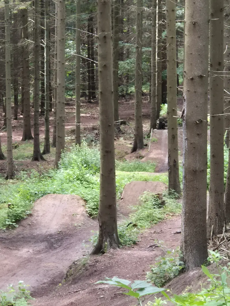 Flowende berms om sommeren