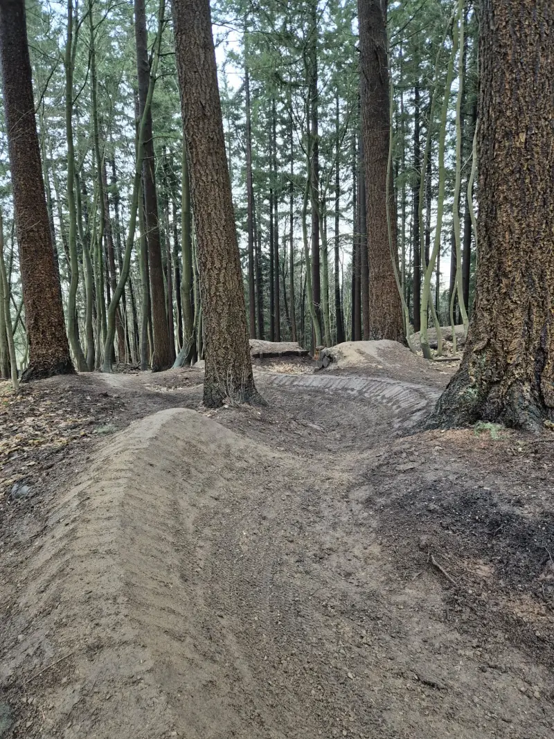 Swing line — flowing berms