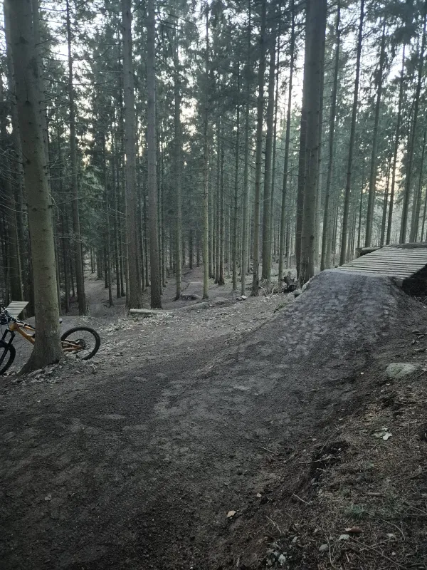 Bike park with wooden ramp and jumps