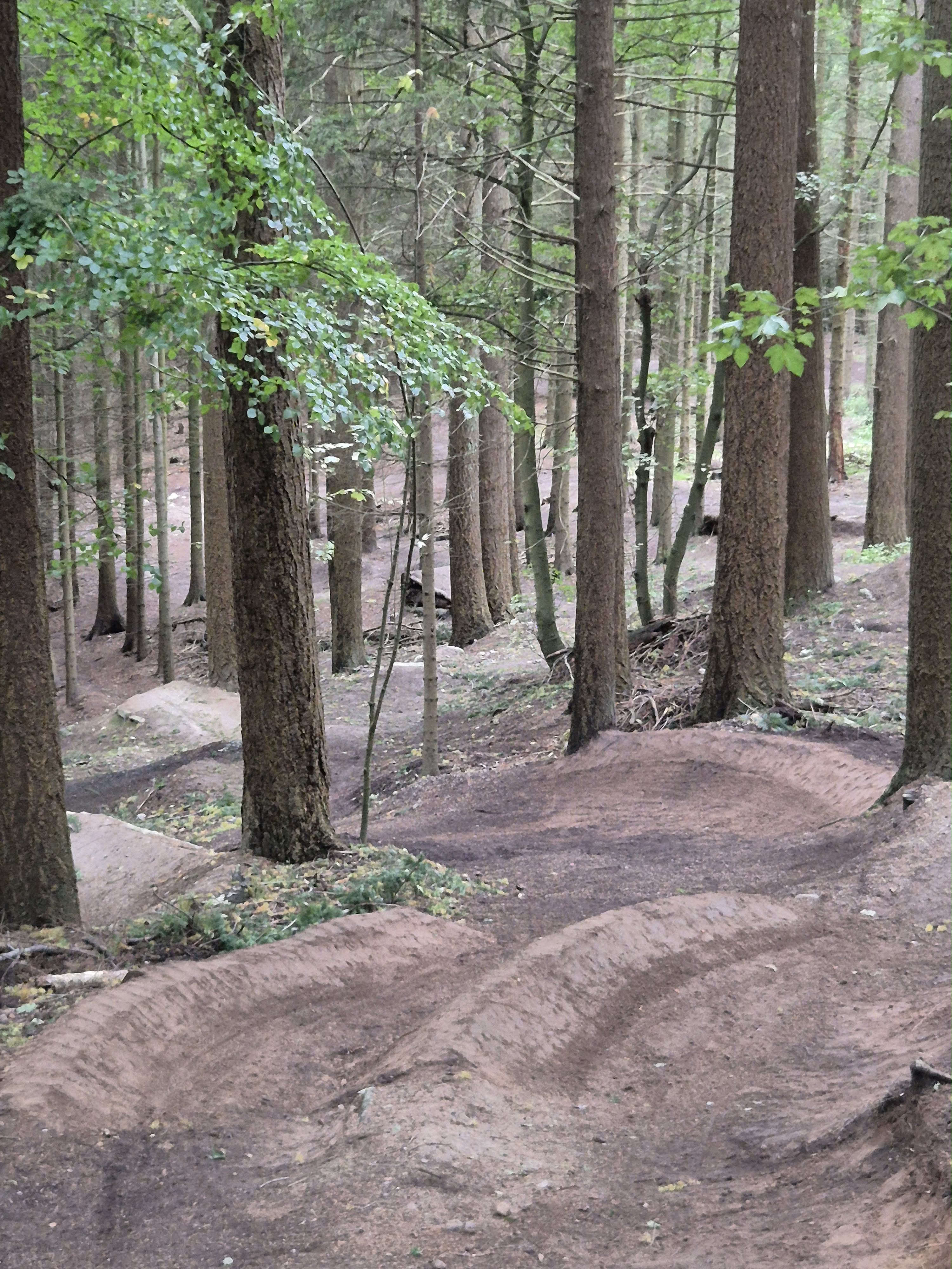 Swing line — flowing berms